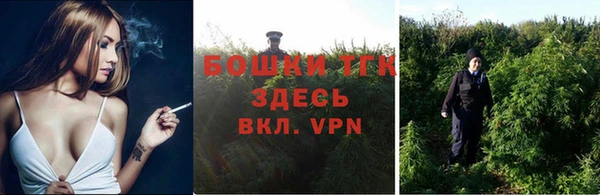 хмурый Верея