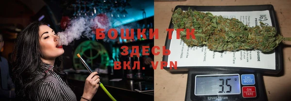 хмурый Верея