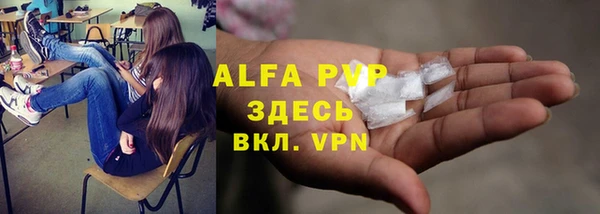 хмурый Верея