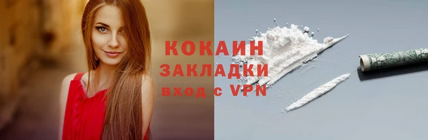 хмурый Верея