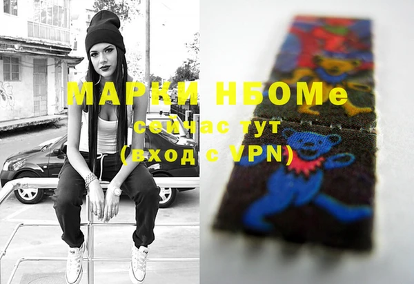 хмурый Верея