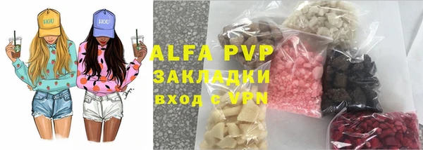 хмурый Верея