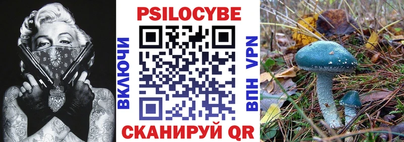 Галлюциногенные грибы GOLDEN TEACHER  Новосокольники 